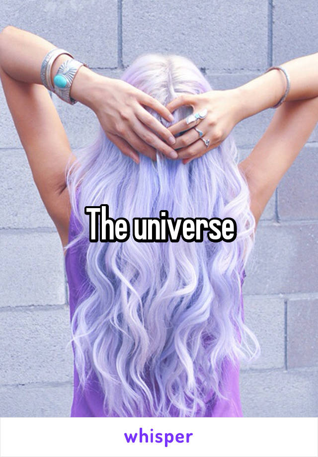 The universe