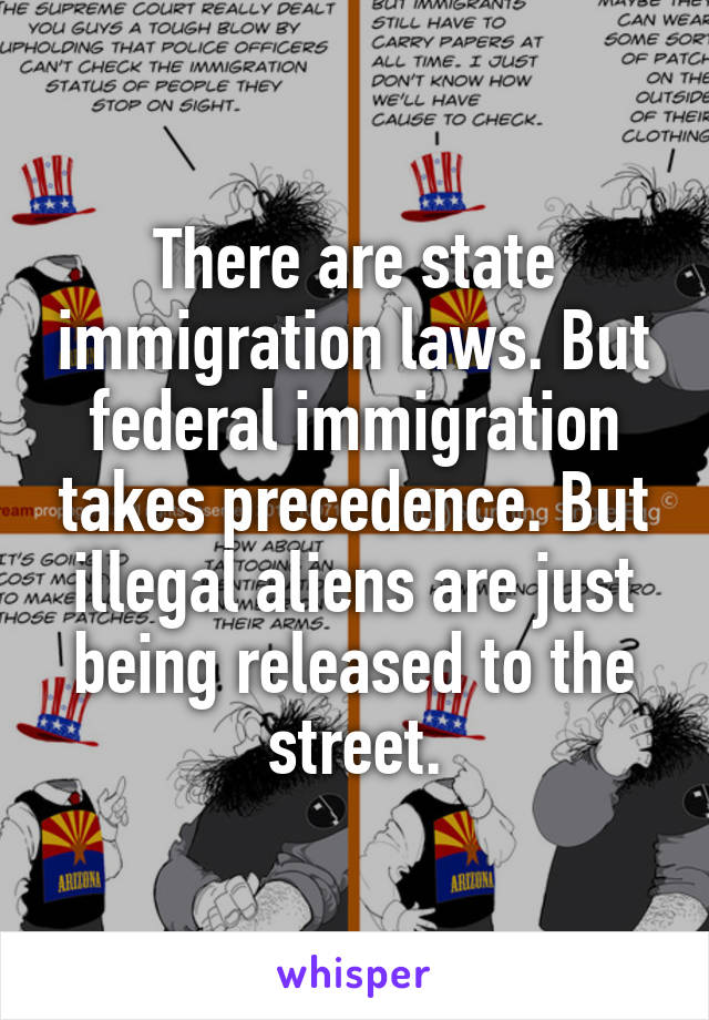 There are state immigration laws. But federal immigration takes precedence. But illegal aliens are just being released to the street.