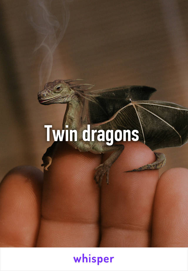 Twin dragons 