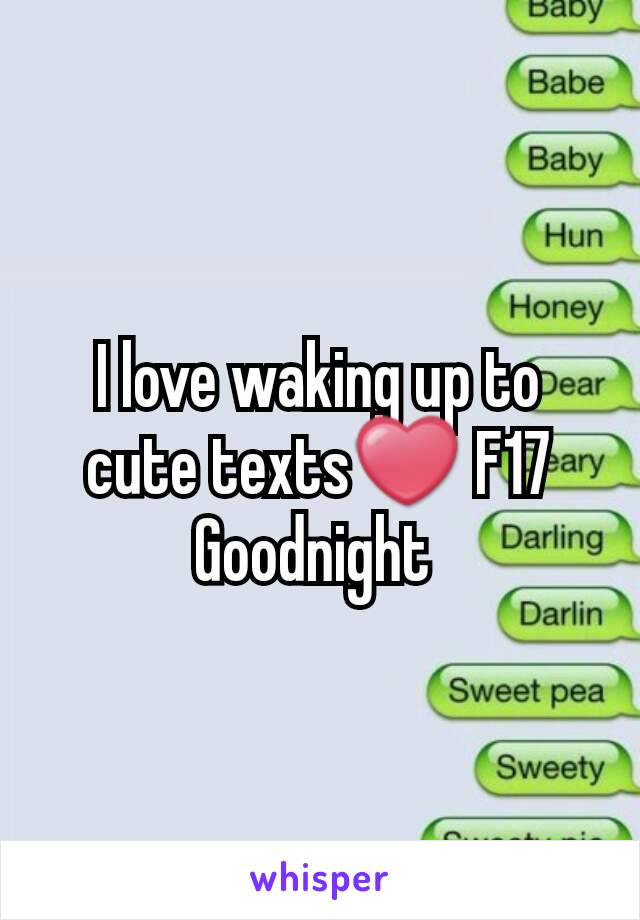 I love waking up to cute texts❤ F17 Goodnight 