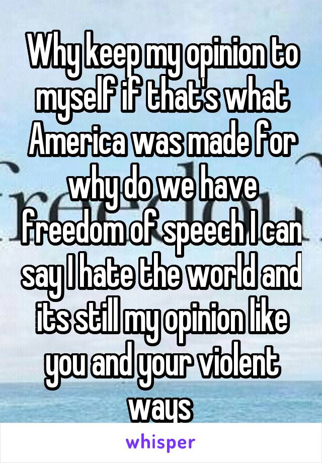 Why keep my opinion to myself if that's what America was made for why do we have freedom of speech I can say I hate the world and its still my opinion like you and your violent ways 