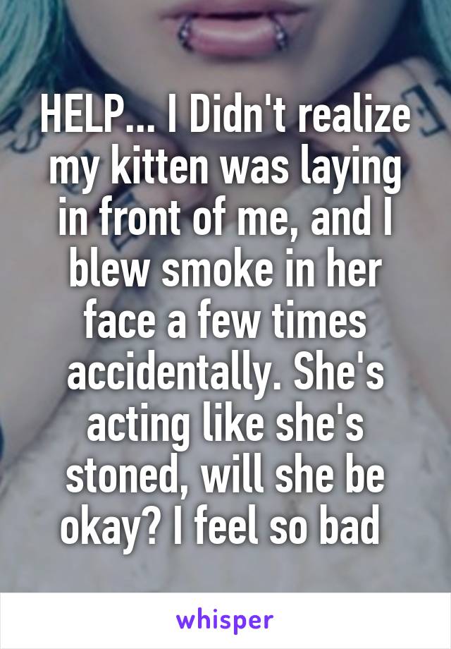 HELP... I Didn't realize my kitten was laying in front of me, and I blew smoke in her face a few times accidentally. She's acting like she's stoned, will she be okay? I feel so bad 