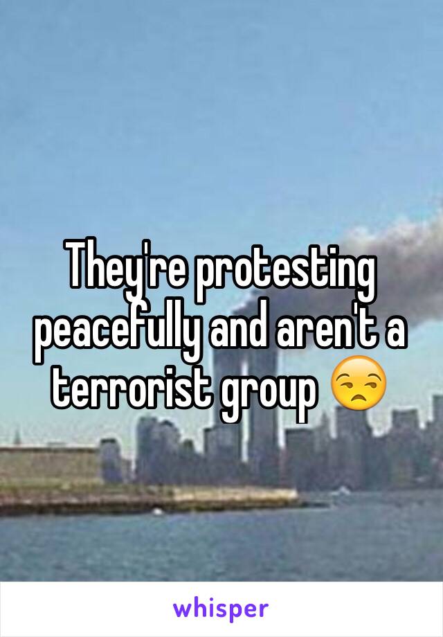 They're protesting peacefully and aren't a terrorist group 😒