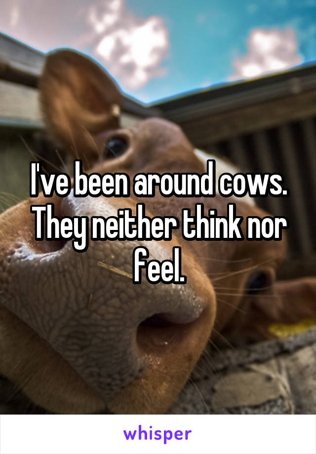 I've been around cows. They neither think nor feel.