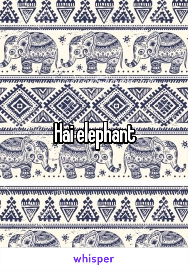 Hai elephant