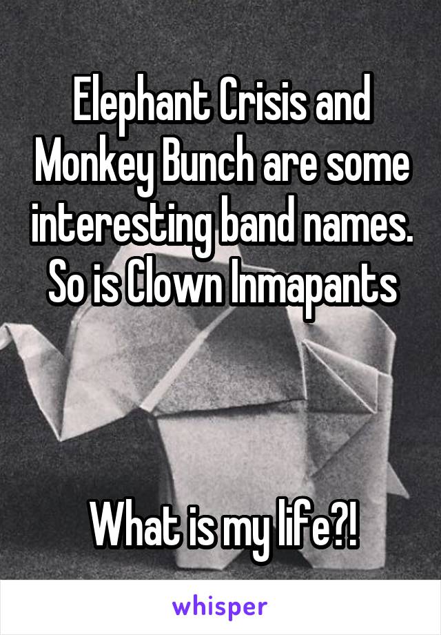 Elephant Crisis and Monkey Bunch are some interesting band names. So is Clown Inmapants



What is my life?!