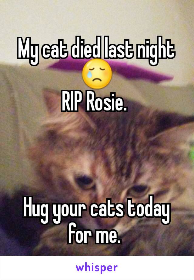 My cat died last night 😢
RIP Rosie. 



Hug your cats today for me. 