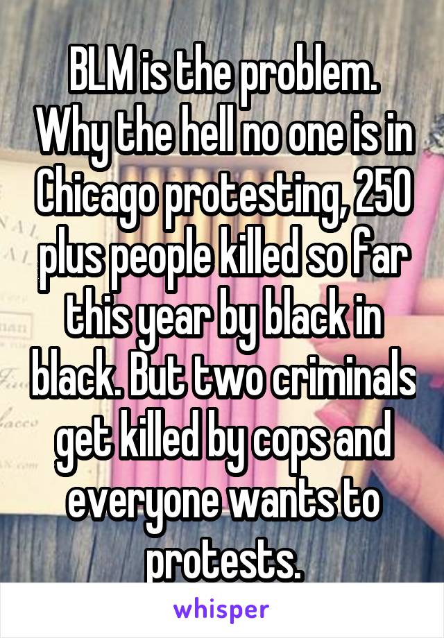 BLM is the problem. Why the hell no one is in Chicago protesting, 250 plus people killed so far this year by black in black. But two criminals get killed by cops and everyone wants to protests.