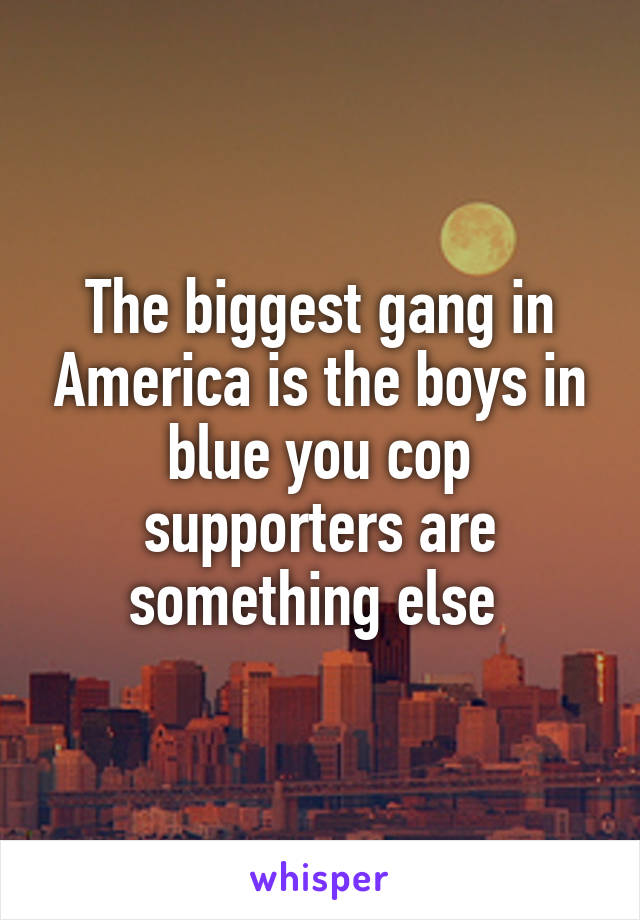 The biggest gang in America is the boys in blue you cop supporters are something else 