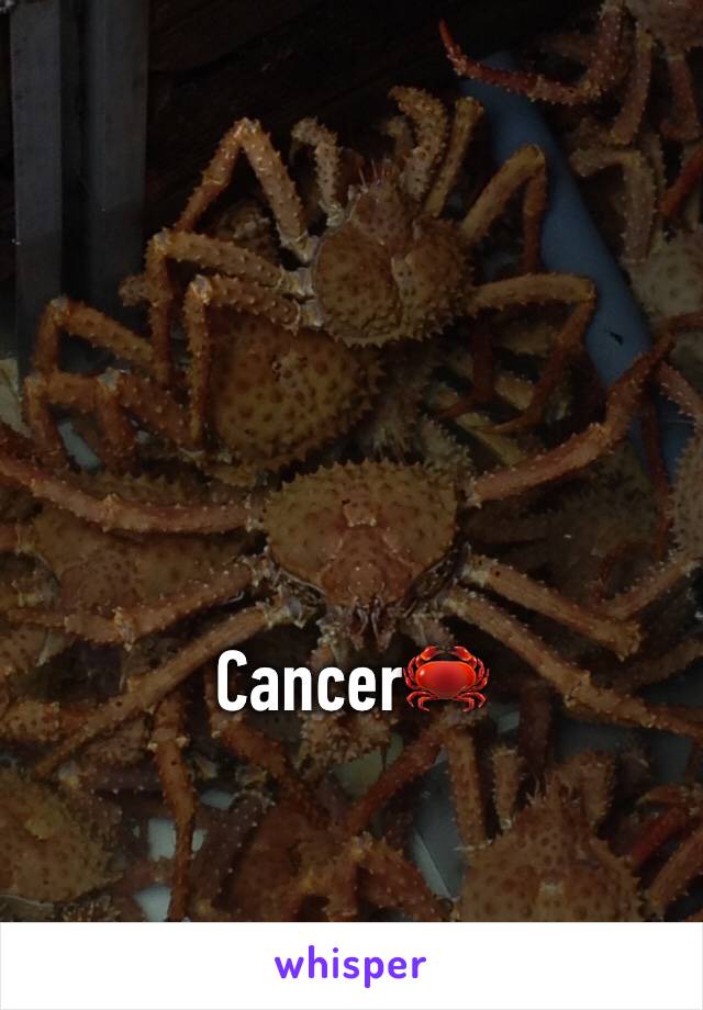 Cancer🦀