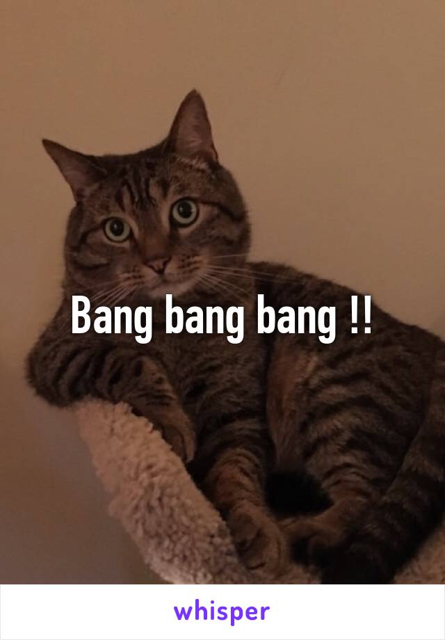 Bang bang bang !!