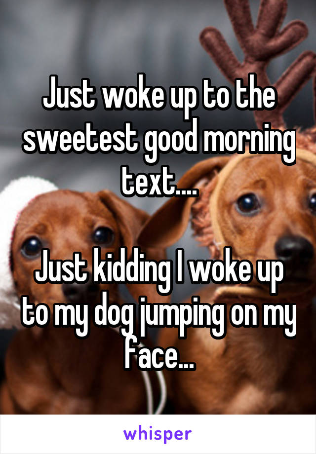 Just woke up to the sweetest good morning text....

Just kidding I woke up to my dog jumping on my face...