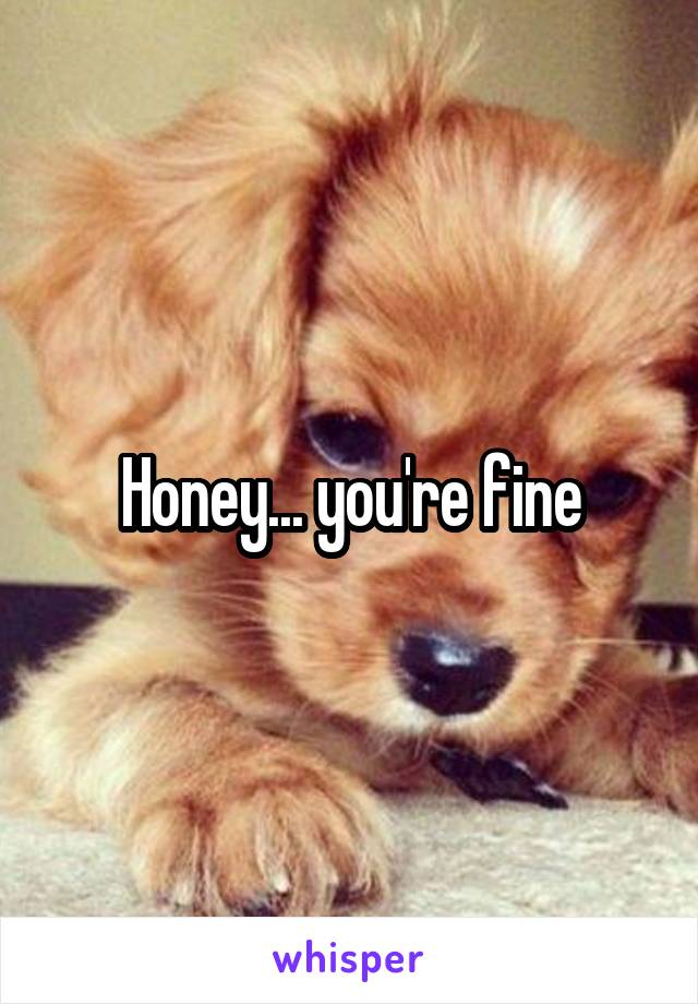 Honey... you're fine
