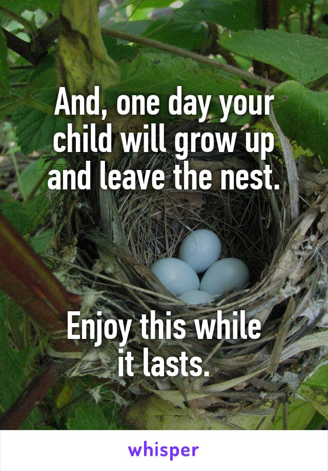 And, one day your
child will grow up and leave the nest.



Enjoy this while
it lasts.