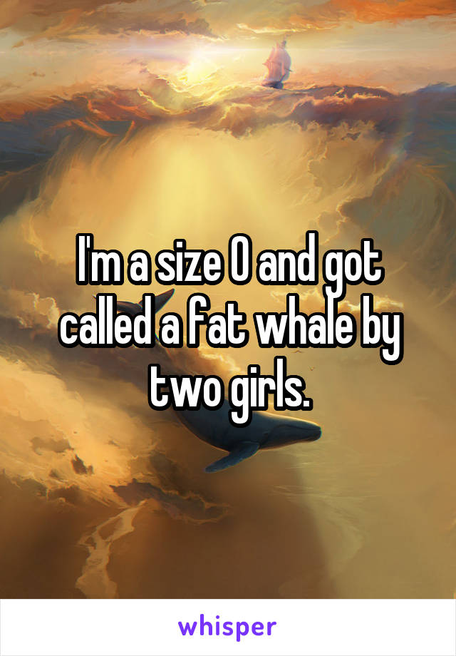 I'm a size 0 and got called a fat whale by two girls.