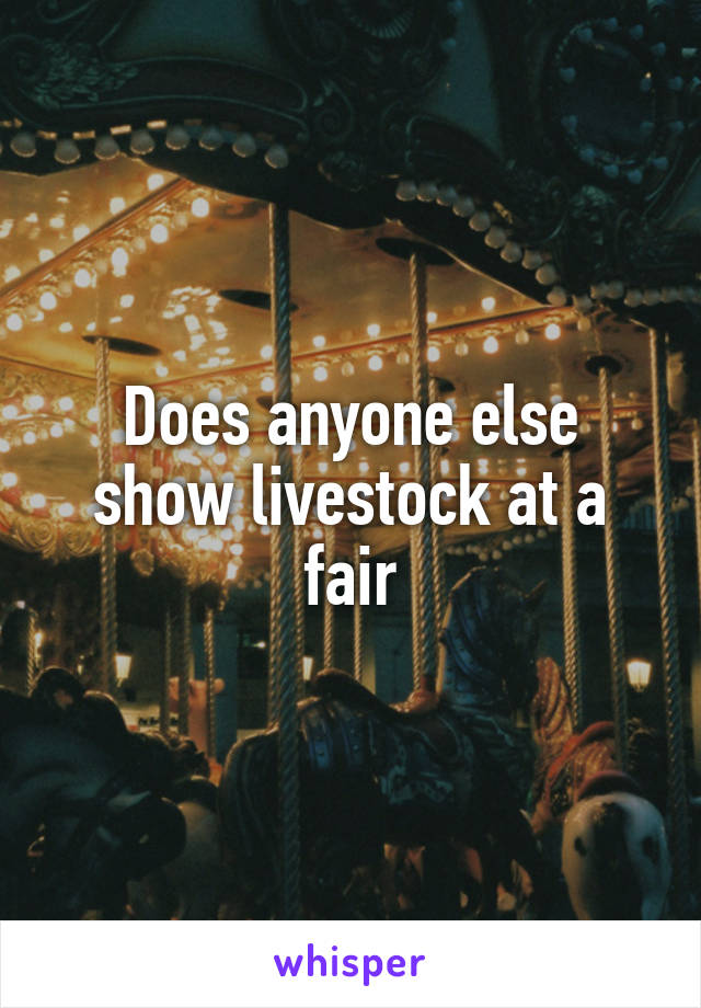 Does anyone else show livestock at a fair