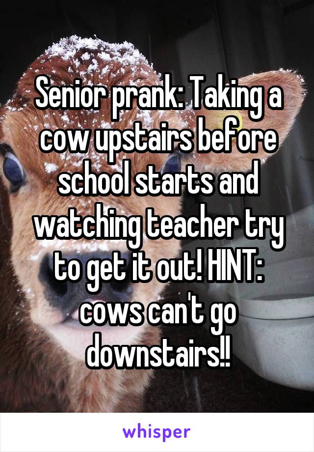 Senior prank: Taking a cow upstairs before school starts and watching teacher try to get it out! HINT: cows can't go downstairs!!