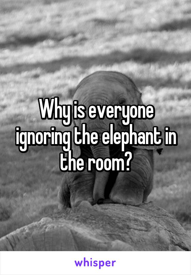 Why is everyone ignoring the elephant in the room?