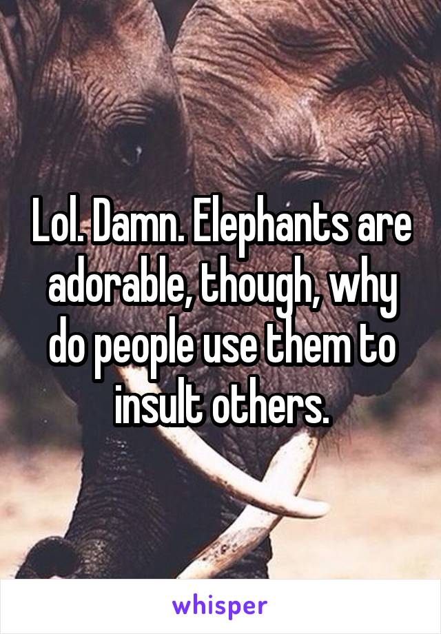 Lol. Damn. Elephants are adorable, though, why do people use them to insult others.