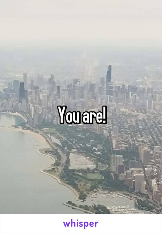 You are!