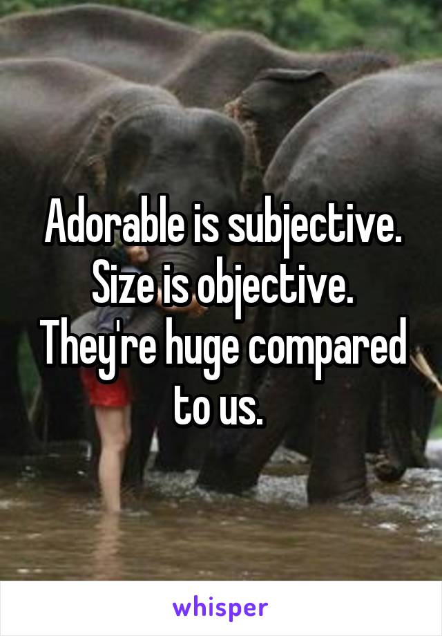 Adorable is subjective. Size is objective. They're huge compared to us. 