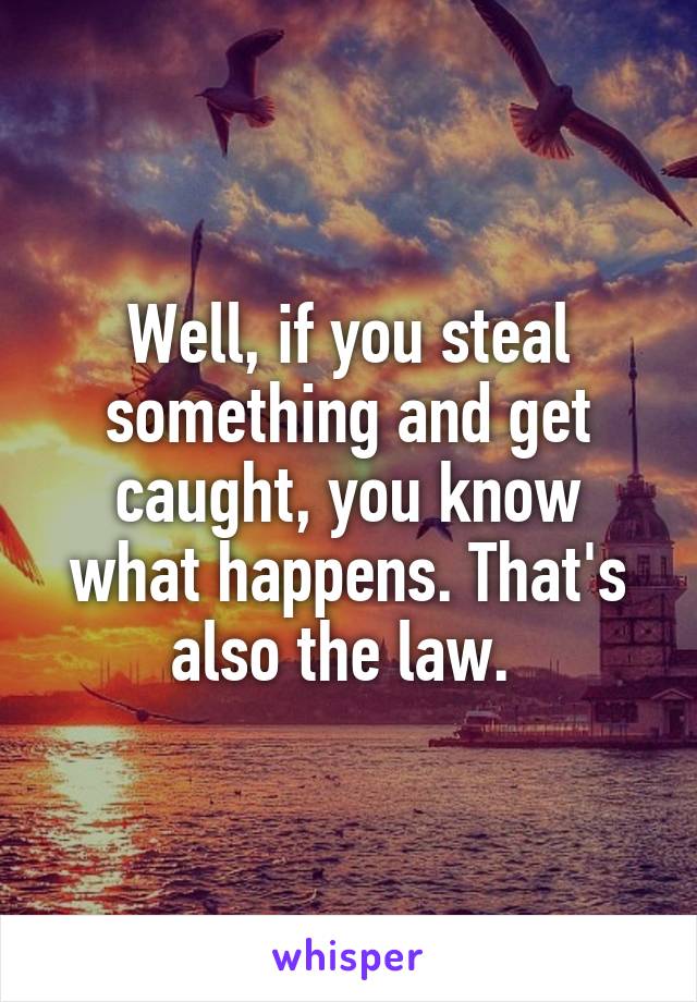 Well, if you steal something and get caught, you know what happens. That's also the law. 