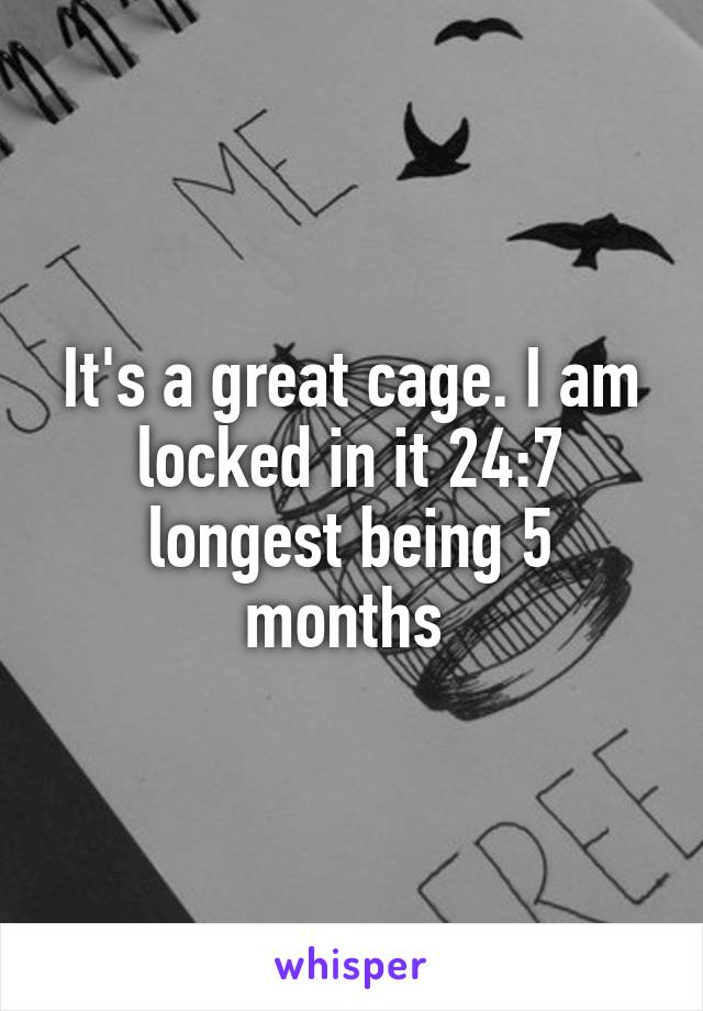 It's a great cage. I am locked in it 24:7 longest being 5 months 