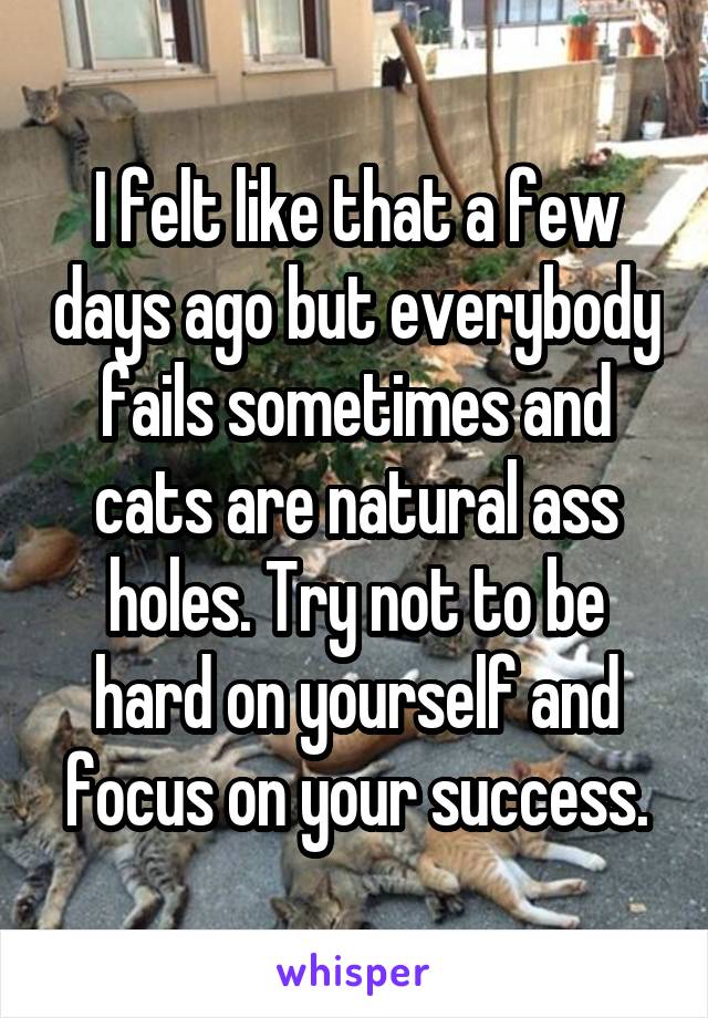 I felt like that a few days ago but everybody fails sometimes and cats are natural ass holes. Try not to be hard on yourself and focus on your success.