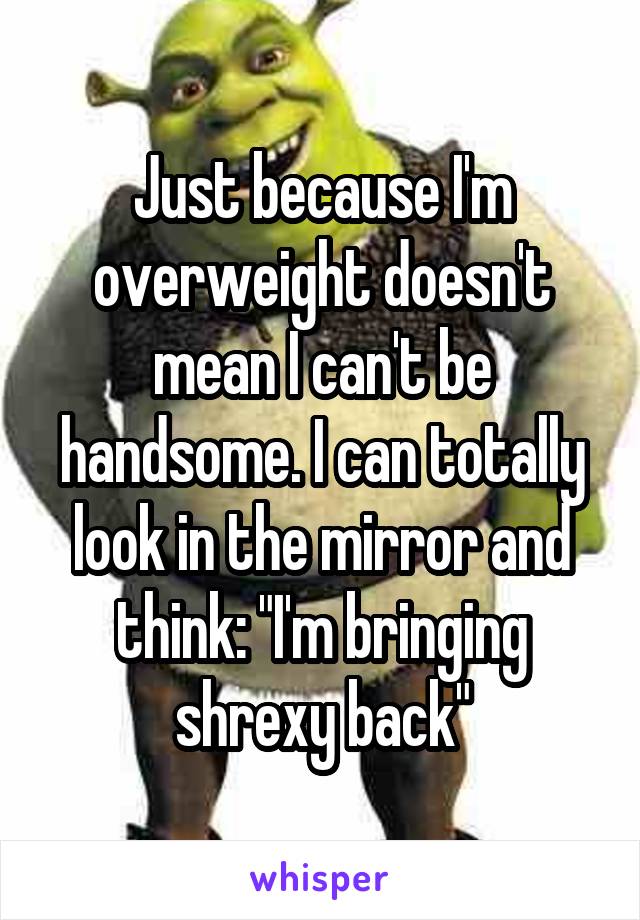 Just because I'm overweight doesn't mean I can't be handsome. I can totally look in the mirror and think: "I'm bringing shrexy back"