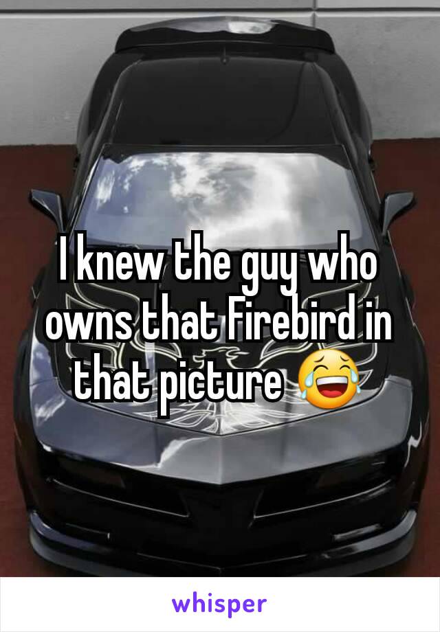 I knew the guy who owns that Firebird in that picture 😂