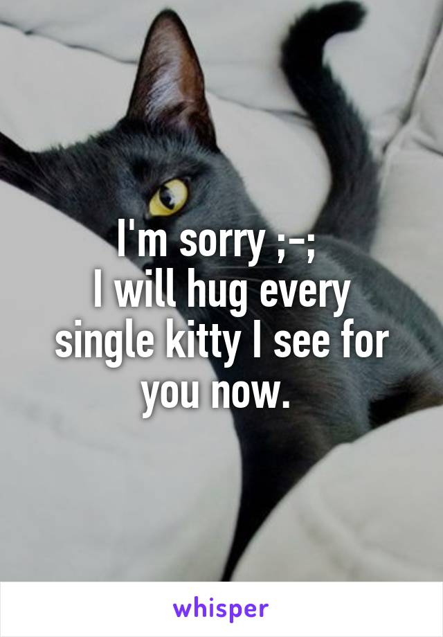 I'm sorry ;-; 
I will hug every single kitty I see for you now. 