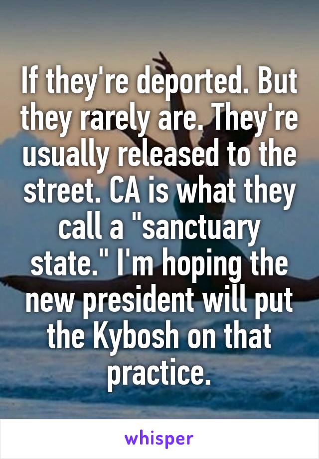 If they're deported. But they rarely are. They're usually released to the street. CA is what they call a "sanctuary state." I'm hoping the new president will put the Kybosh on that practice.