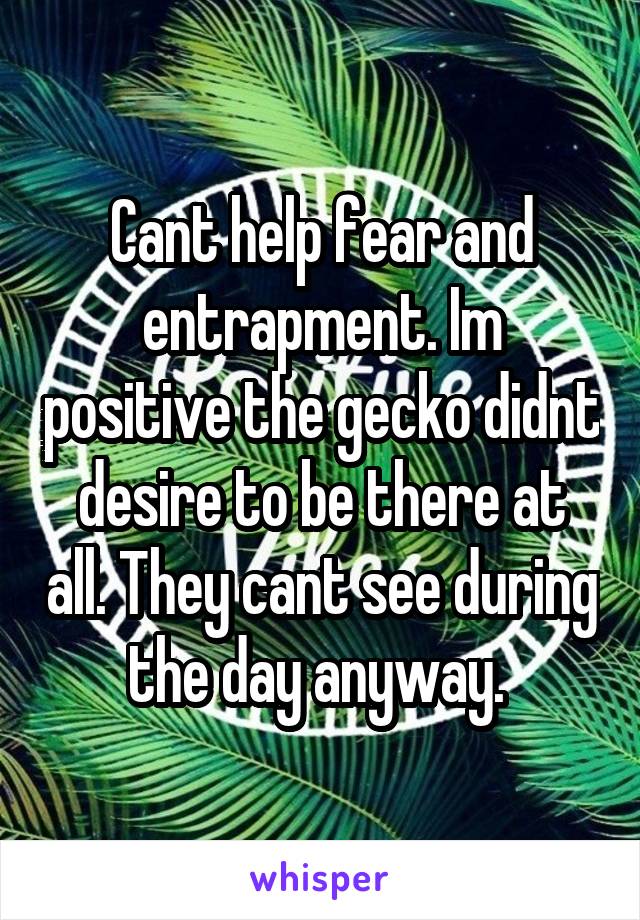 Cant help fear and entrapment. Im positive the gecko didnt desire to be there at all. They cant see during the day anyway. 