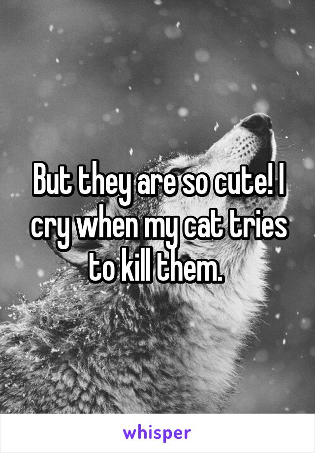 But they are so cute! I cry when my cat tries to kill them. 