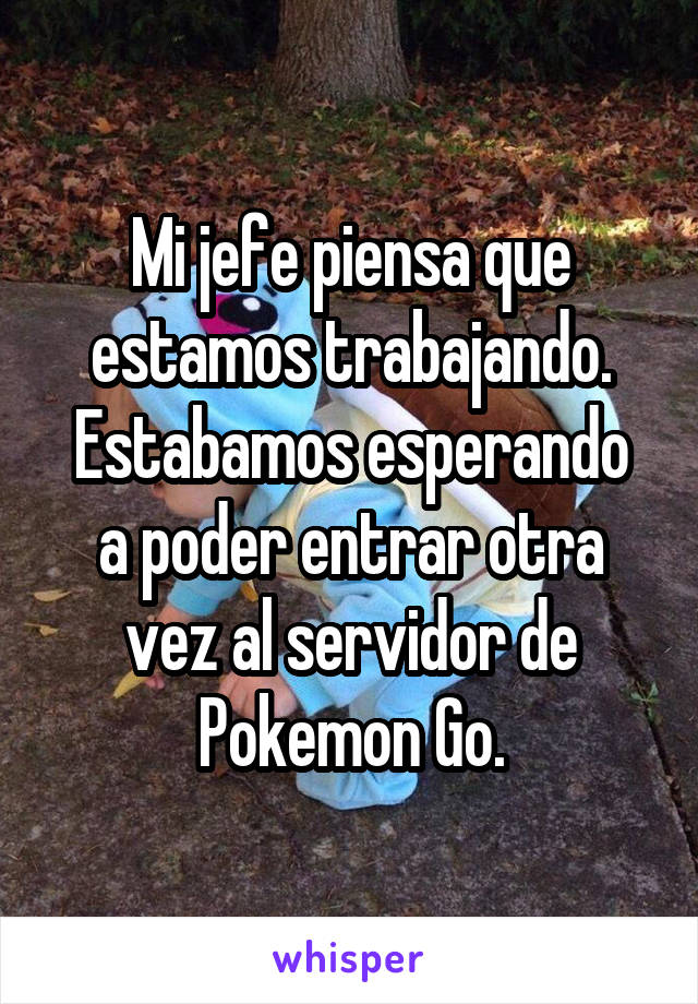 Mi jefe piensa que estamos trabajando.
Estabamos esperando a poder entrar otra vez al servidor de Pokemon Go.