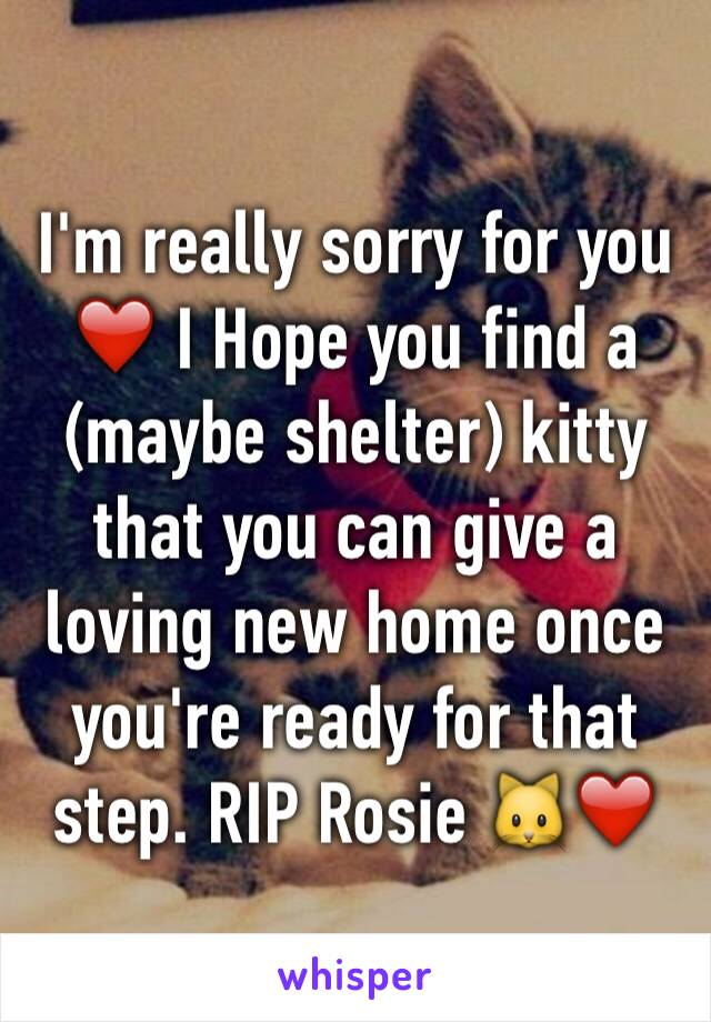 I'm really sorry for you ❤️ I Hope you find a (maybe shelter) kitty that you can give a loving new home once you're ready for that step. RIP Rosie 🐱❤️