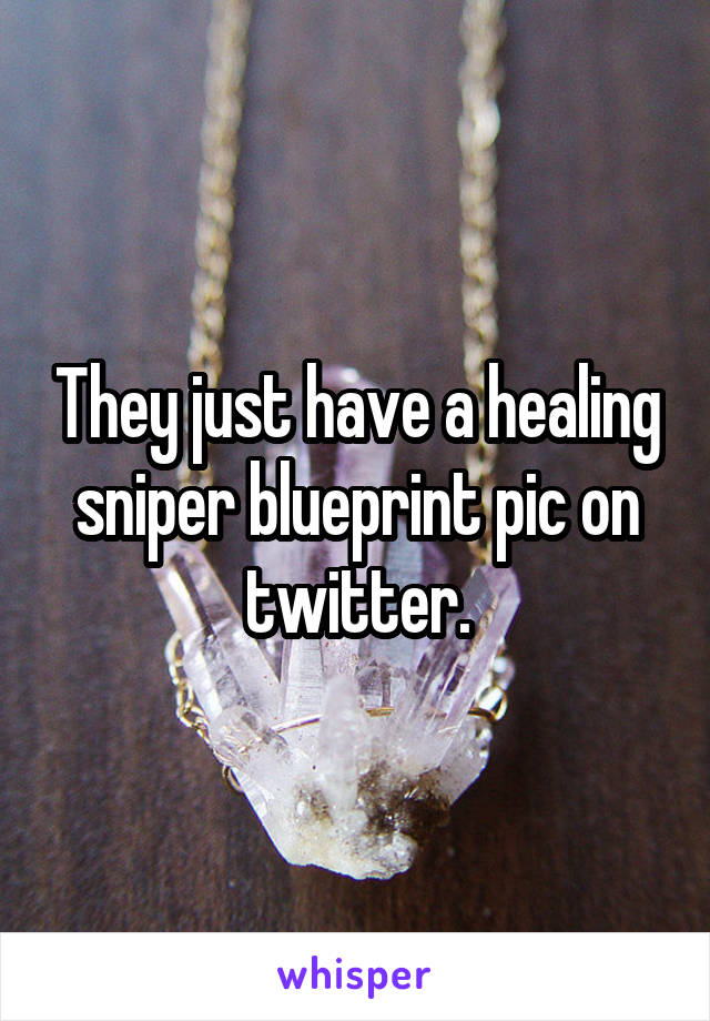 They just have a healing sniper blueprint pic on twitter.