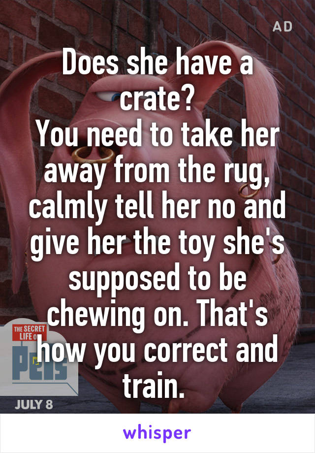 Does she have a crate?
You need to take her away from the rug, calmly tell her no and give her the toy she's supposed to be chewing on. That's how you correct and train. 