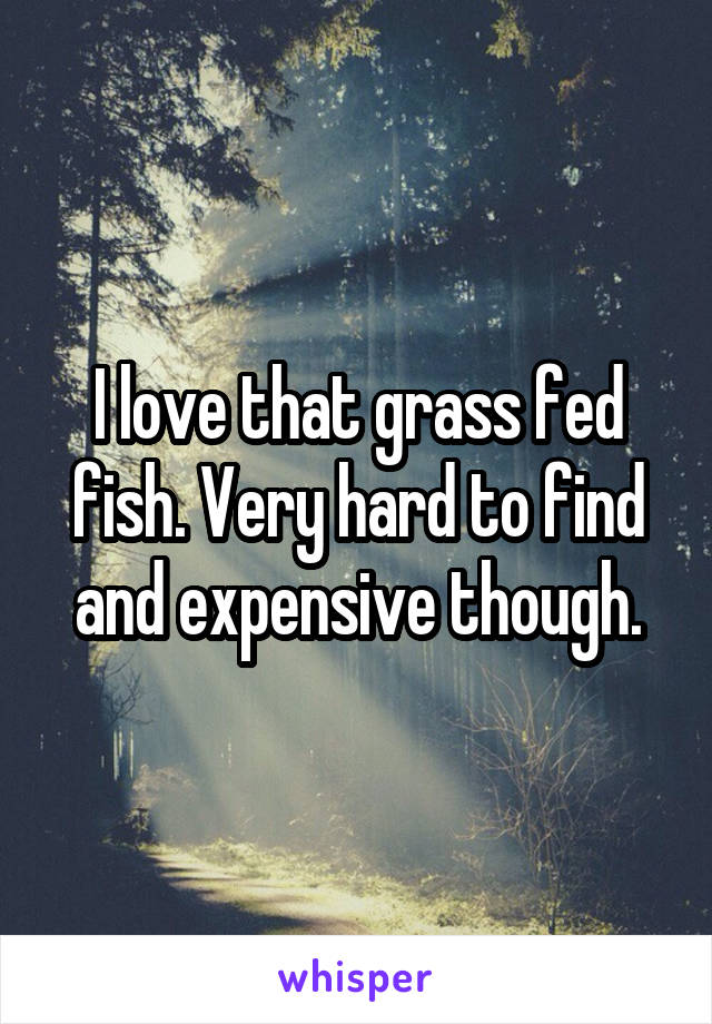 I love that grass fed fish. Very hard to find and expensive though.