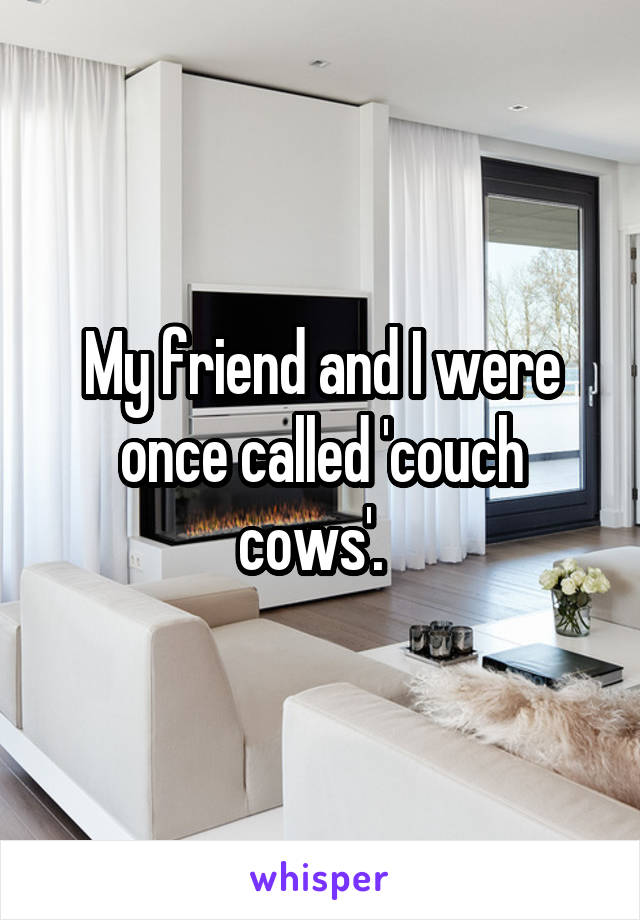 My friend and I were once called 'couch cows'.  
