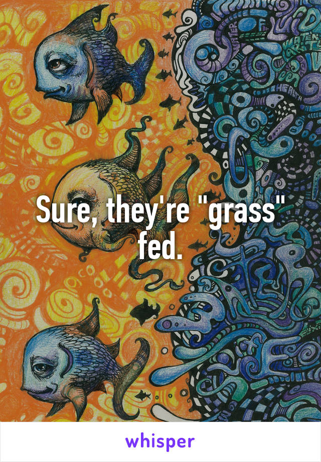 Sure, they're "grass" fed.