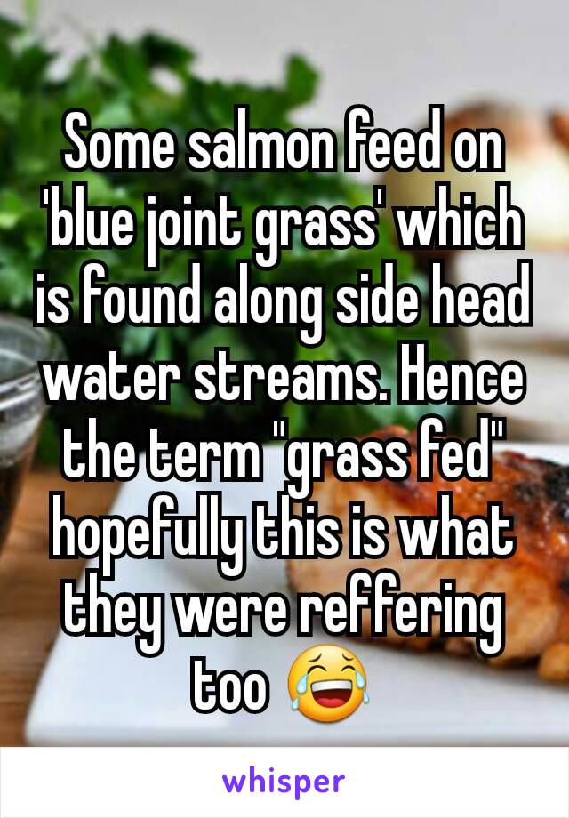 Some salmon feed on 'blue joint grass' which is found along side head water streams. Hence the term "grass fed" hopefully this is what they were reffering too 😂