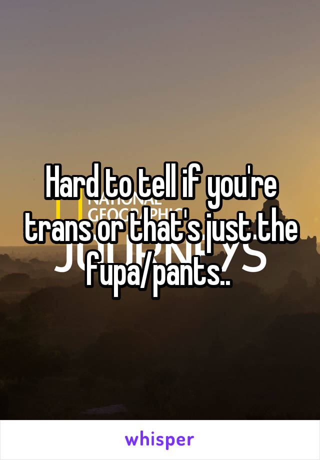 Hard to tell if you're trans or that's just the fupa/pants.. 