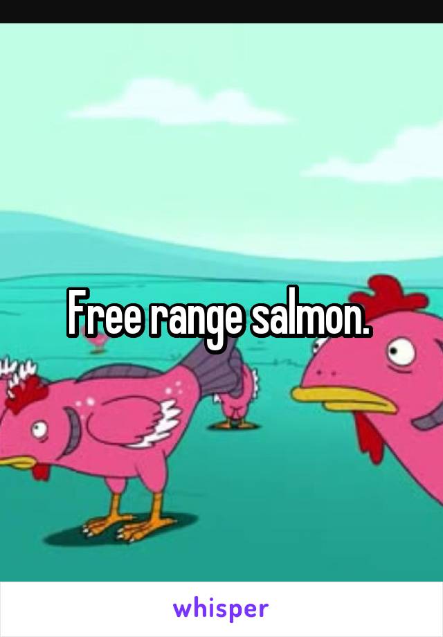 Free range salmon. 
