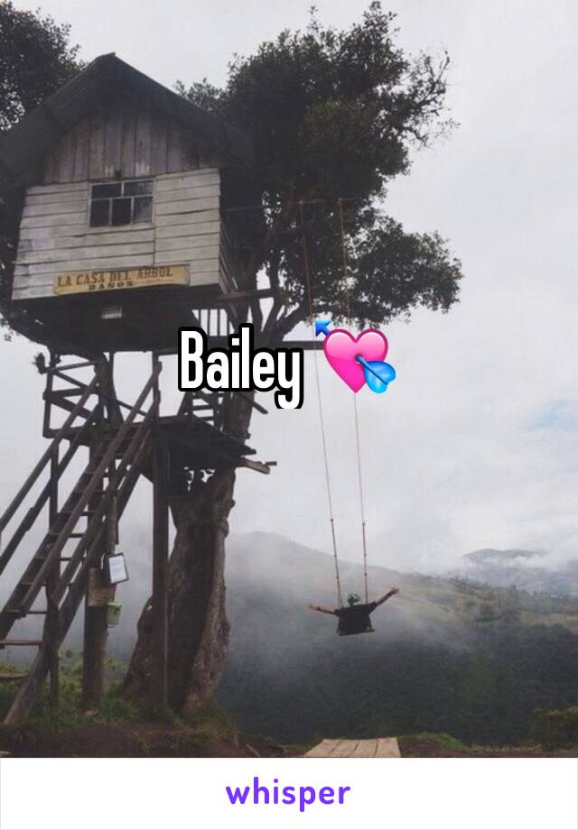 Bailey 💘 