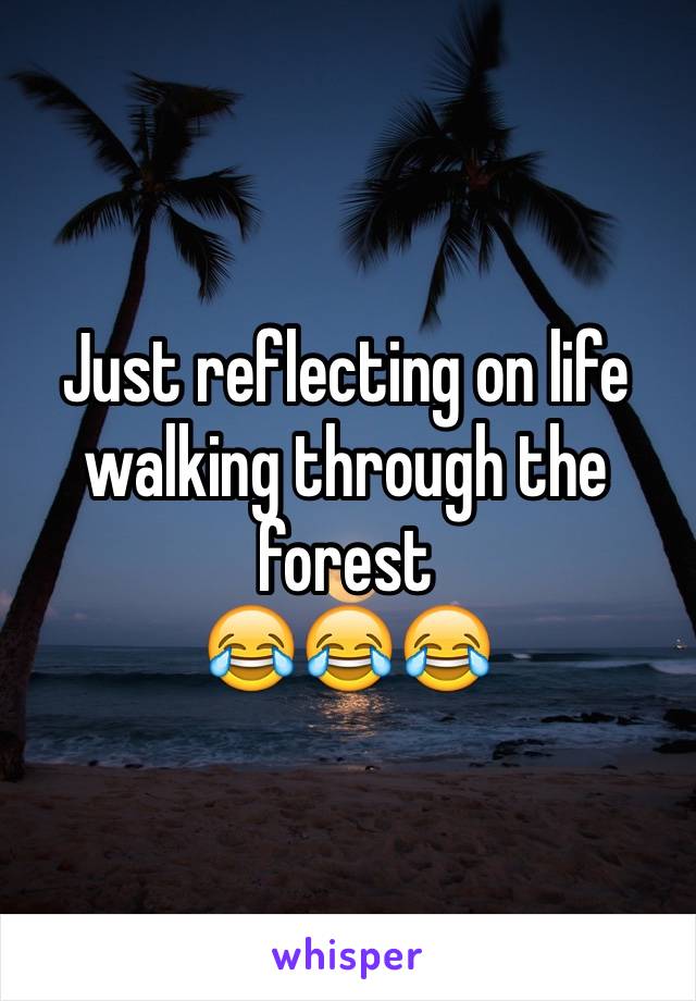 Just reflecting on life walking through the forest 
😂😂😂
