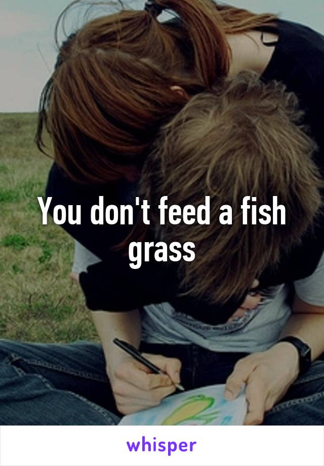 You don't feed a fish grass