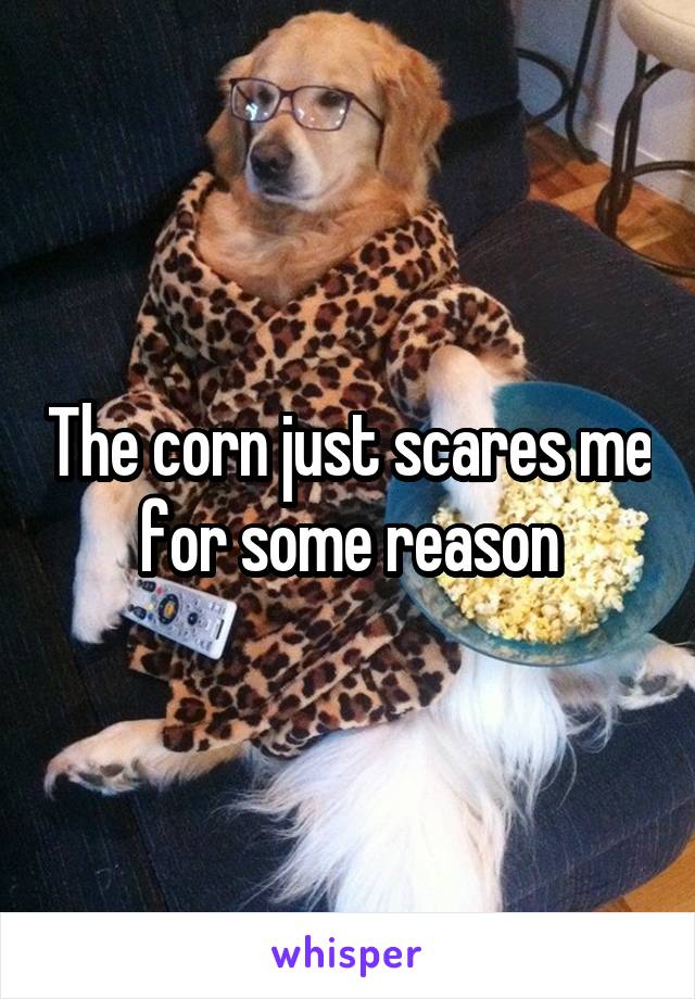 The corn just scares me for some reason