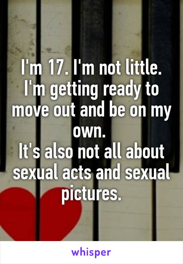 I'm 17. I'm not little. I'm getting ready to move out and be on my own. 
It's also not all about sexual acts and sexual pictures.