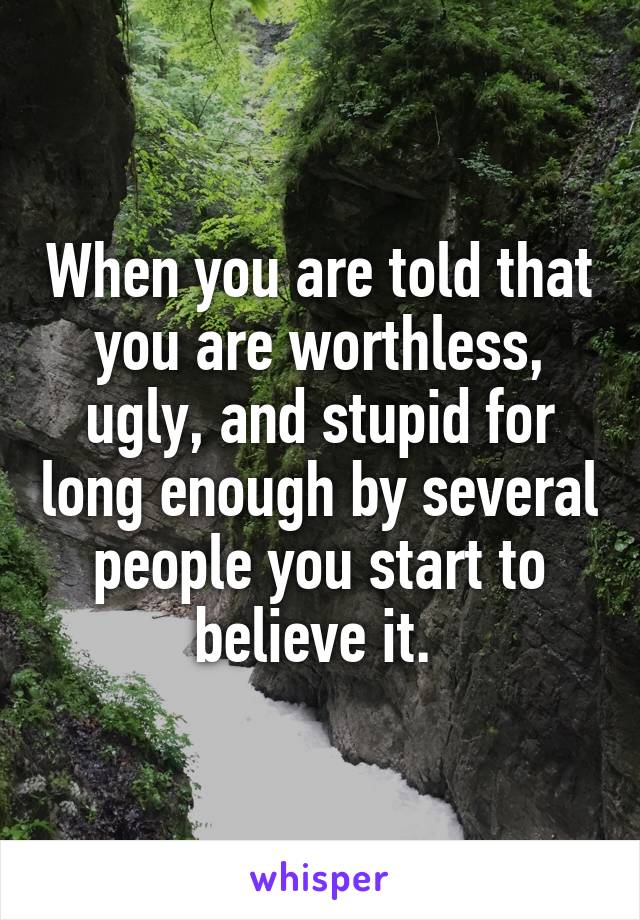 When you are told that you are worthless, ugly, and stupid for long enough by several people you start to believe it. 